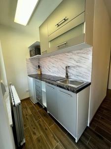 a kitchen with a sink and a counter top at Charming flat in Maribor +8 photos