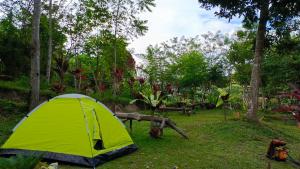 a green tent in a yard with trees at Genius Level Only Camp in Bukittinggi