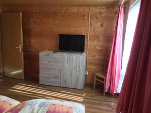 TV a/nebo společenská místnost v ubytování Haus Dorfblick