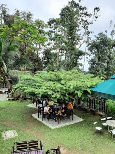 Zahrada ubytování Hickory Penang Hill