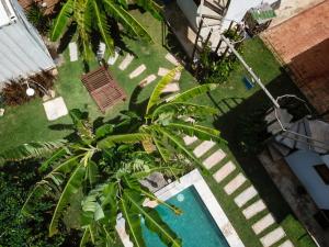 圣米格尔-杜戈斯托苏Zero Meia Um Pousada的享有带游泳池和树的庭院的顶部景色