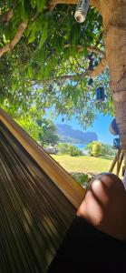 a person sitting in a hammock looking out of a tree at Taria Camping in Te-Fare-Arii