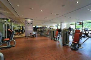Fitnes oz. oprema za telovadbo v nastanitvi FIRST CLASS 1BR Anantara The Palm Hotel