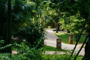 a walking path through a park with palm trees at TUI BLUE Angkor Grace Wellness Resort in Siem Reap