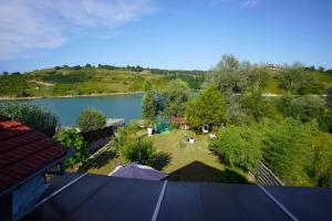 an aerial view of a park with a lake at Pensiunea La Rose-lângă lac cu ponton in Cinciş