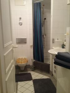 a bathroom with a shower with a toilet and a sink at Ferienwohnung im Kapitänsgarten in Prerow in Prerow