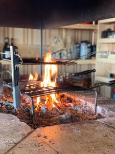 a grill with a bunch of fire in a kitchen at Appartement 2 pièces bord de mer in Linguizzetta