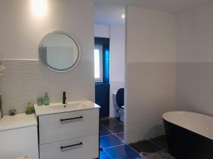 a bathroom with a sink and a toilet and a mirror at Vacances entre plage et montagnes in Baigts-de-Béarn