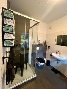 a bathroom with a shower and a sink at Ferienhaus Villa Frosch in Meiningen