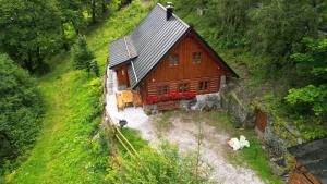 Príroda v okolí horskej chaty