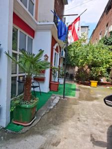 Κήπος έξω από το Style Apartment with Courtyard