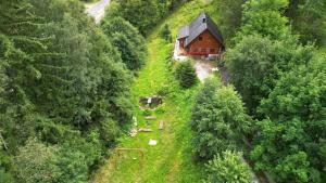 Príroda v okolí horskej chaty