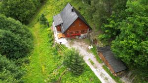 Príroda v okolí horskej chaty