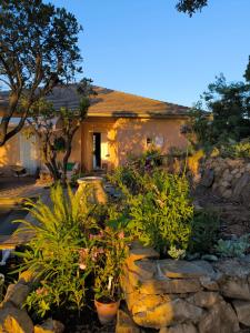Ein Garten an der Unterkunft Corse Piana villa d’architecte vue exceptionnelle