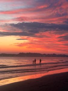 Peisaj natural din apropierea acestui apartament