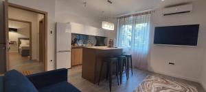 Televízia a/alebo spoločenská miestnosť v ubytovaní Apartman Millá