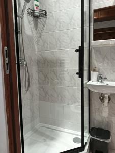 a bathroom with a shower and a sink at Apartament B&B in Stalowa Wola