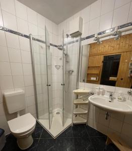 une salle de bains avec douche, toilettes et lavabo dans l'établissement Ferienwohnungen Wiek, Haus Luv & Lee, à Wiek auf Rügen 22 autres photos