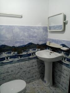 トリンコマリーにあるRest house nilaveliの洗面台とトイレ付きのバスルーム