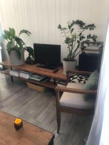 a living room with a table with two potted plants at Au près de tout in Neuvecelle +11 photos