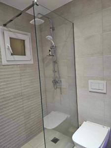 a bathroom with a glass shower with a toilet at Guarantee to make you say wow! in Athens +3 photos