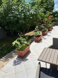 Zahrada ubytování Villa Vlokje