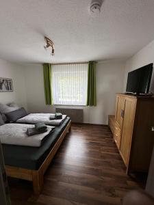 TV a/nebo společenská místnost v ubytování Ferienwohnung Mecarda in Sankt Englmar + 11 fotografií