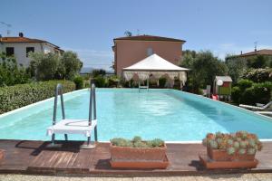 a swimming pool with a chair and potted plants at La Mimosa in Bolgheri