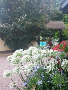 Zahrada ubytování Les Hortensias