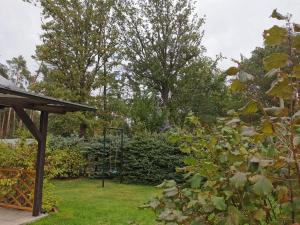 Zahrada ubytování FH Waldidylle Nähe Torgau, Seebad Neumühle + 3 fotografie