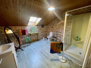 a bathroom with a shower and a sink and a toilet at Gîte Tan Rouge in Pompierre-sur-Doubs