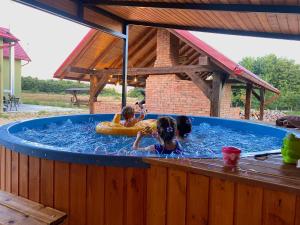 two children are playing in a large swimming pool at Casa David 13D in Nimăeşti