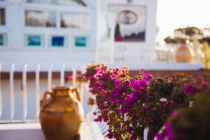 A garden outside Il Giardino dell'Arte