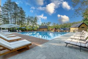 Novi VladimirovacEspacio Resort - Pool & Spa的配有躺椅和遮阳伞的大型游泳池