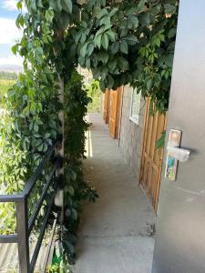 "Bilim" Guest House外面的花园
