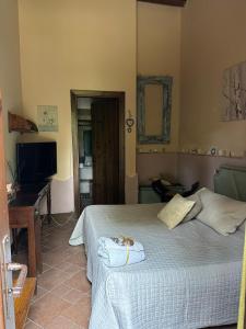a bedroom with a bed and a desk and a television at Il nuovo fiorile in Benevento