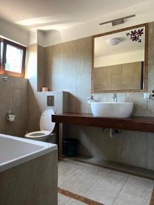 Ένα μπάνιο στο Pensiunea Bujor De Munte Colibita