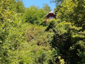 Gallery image of Vagabundo Home in Rogačica