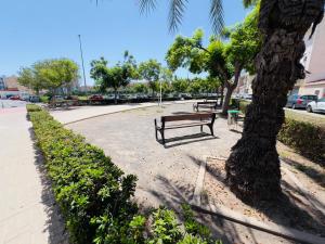 a park with two benches next to a palm tree at ISABEL Apartment in Puerto de Sagunto