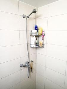 a shower with a shower head in a bathroom at Athens Pangrati cute apt, 15 mins from metro in Athens