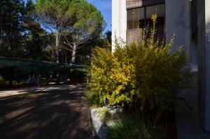 A garden outside Appartamenti Alemagna