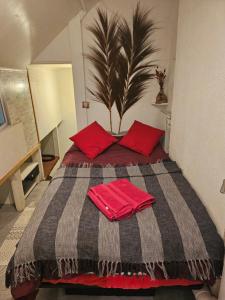 a bedroom with a bed with red pillows at Petit Duplex in Honfleur