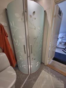 eine Dusche im Badezimmer neben einer Toilette in der Unterkunft Landet in Åby
