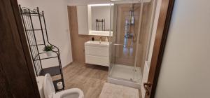 Koupelna v ubytování Apartamente Dragasani