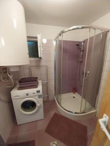 a bathroom with a shower and a washing machine at Panoráma Kuckó in Tahitótfalu