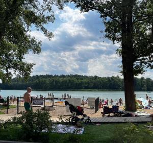 a man and a dog at a beach with people at Leszczynowy domek nad jeziorem in Dobre Miasto