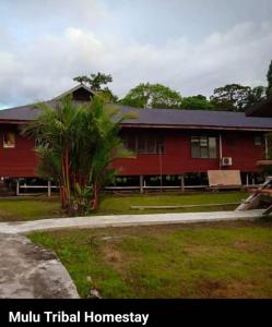 ムルにあるMulu Tribal Homestayのヤシの木が目の前に広がる赤い家