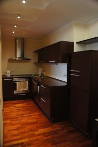 A kitchen or kitchenette at Lyra Apartments