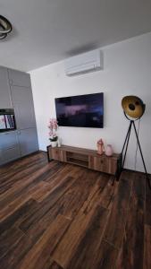 TV a/nebo společenská místnost v ubytování Mila