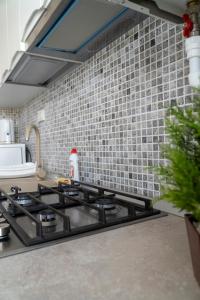 a kitchen with a stove and a tile wall at Studio Accommodation City Center in Iaşi +29 photos